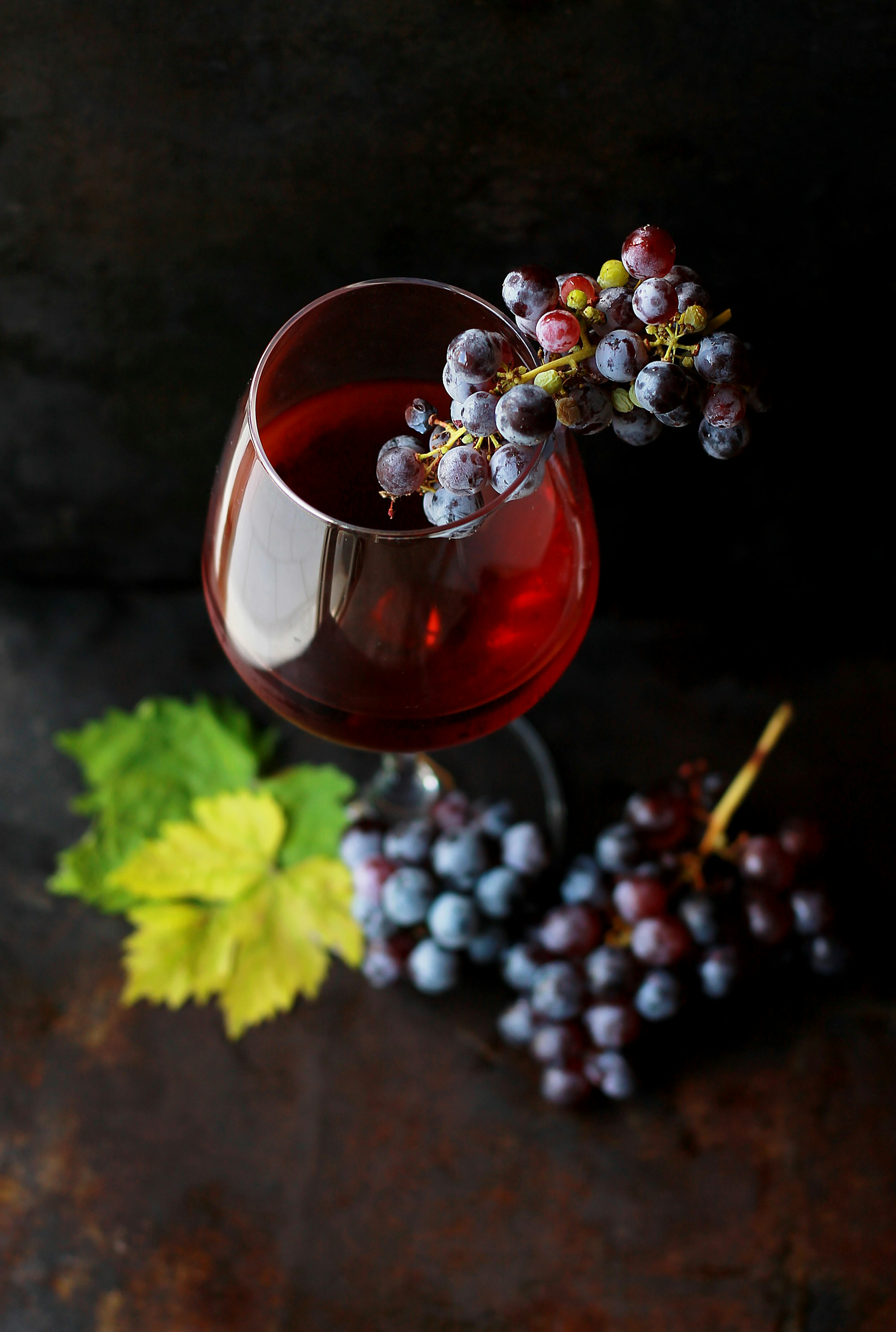Vineyard rows